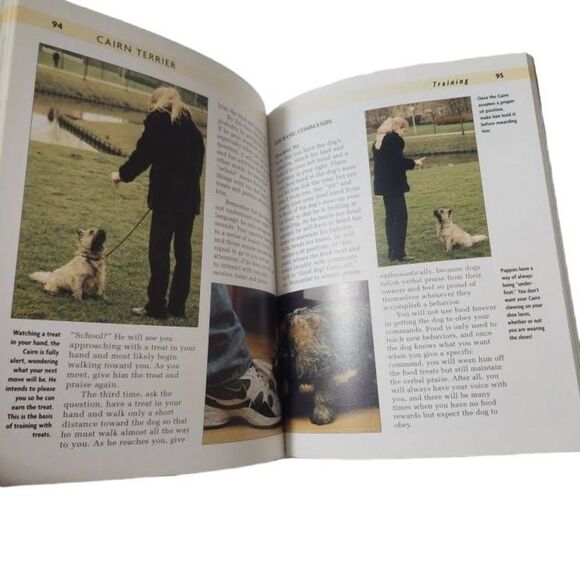 Cairn Terrier A Kennel Club Book A Comprehensive Guide To Owning And Caring For - Picture 6 of 12